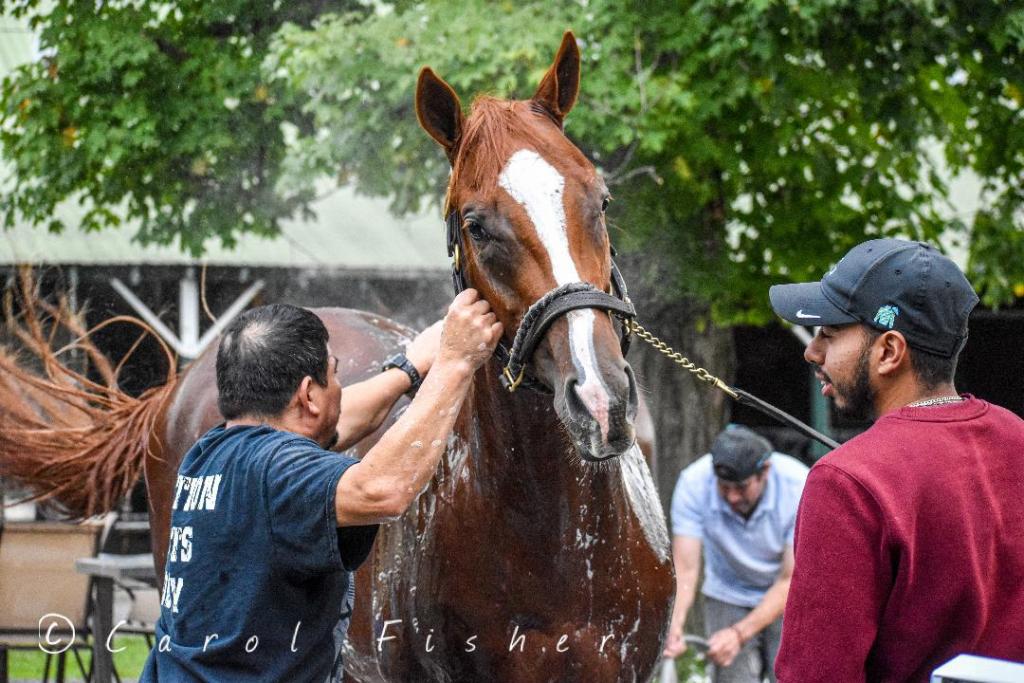 Dakota Gold (Courtesy of Gargan Racing/Carol Fisher)